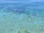 海だ海だ海だぁーーーーー！！