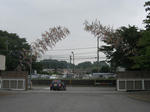 bd385f07.jpg
