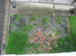27e9cc76.jpg