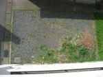a9060e08.jpg