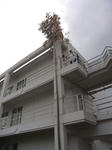 296d872e.jpg