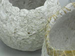 bagasse-1.jpg