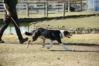 DSC02470.jpg