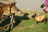 DSC02559.jpg