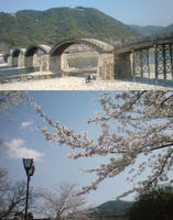 DSC00113.jpg