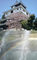 DSC00122.jpg