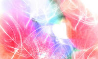 8b6a6cd4.jpg