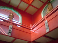 DSC00321.jpg