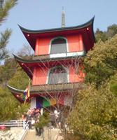 DSC00324.jpg