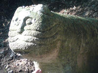 DSC00317.jpg