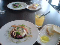 DSC00331.jpg