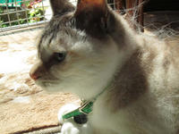 IMG_1913.jpg