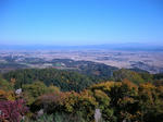 196.jpg