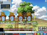 Maple0001.jpg