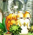 Maple0018.jpg