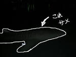 a4771b91.JPG