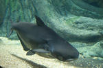 DSC00036.JPG