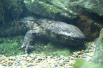 DSC00010.JPG