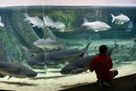 DSC00042.JPG