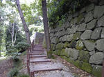 SH370046.JPG