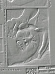 Image001.jpg