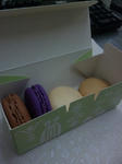 120202_132042.jpg