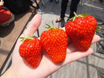 DSCF04551.JPG