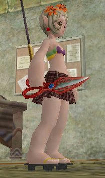 mini.jpg