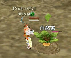 sa6.jpg