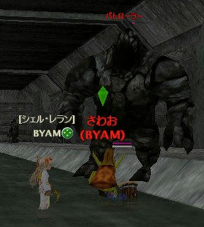 sawa.jpg