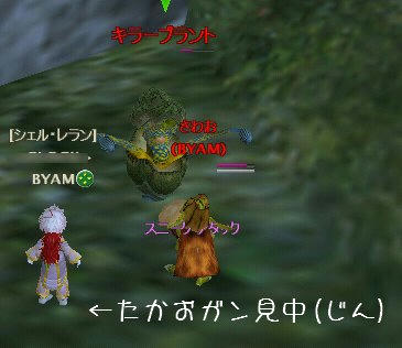 sui1.jpg