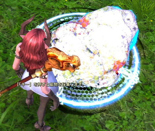 t1.jpg