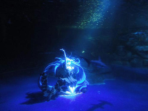 120916seapara.jpg