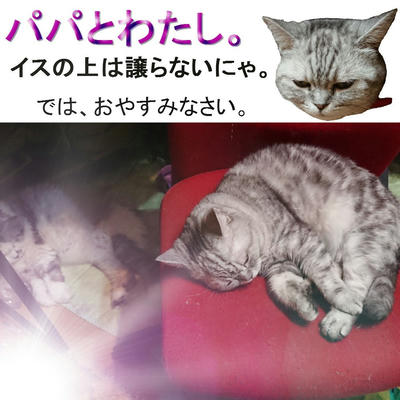 tera_goodnight_VRN