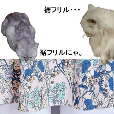 裾フリル