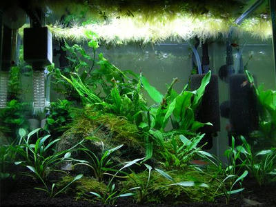 DSCN3259.jpg