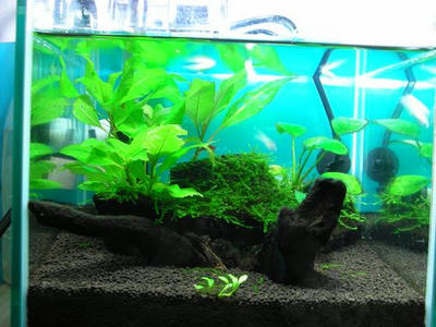 DSCN3248.jpg