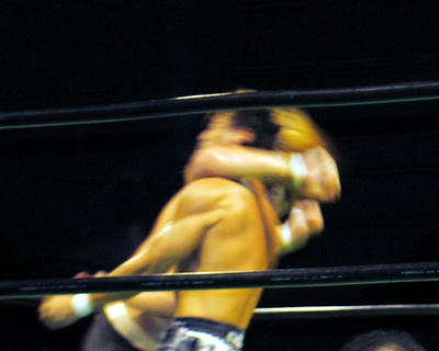 _DSC0310.jpg