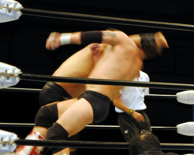 _DSC0422.jpg