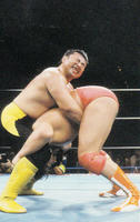 IMG4.jpg