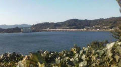20090104143408.jpg