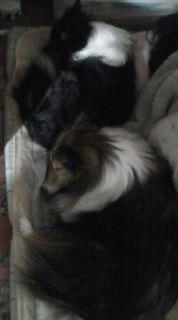 20090124090559.jpg