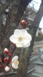 20090222151600.jpg