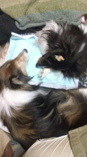 20090227024213.jpg
