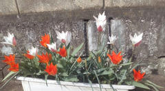 20100409090327.jpg