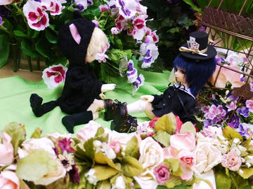 09_04_17.jpg