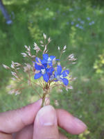 DVC00037.JPG