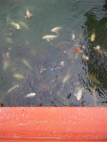 DVC00050.JPG