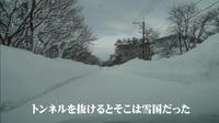 201101291.JPG