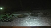 201101292.JPG